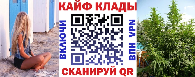 Купить закладку Галлюциногенные грибы  Меф  Alpha-PVP  Гашиш  Cocaine  Судогда