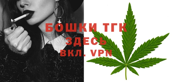 крисы Арсеньев