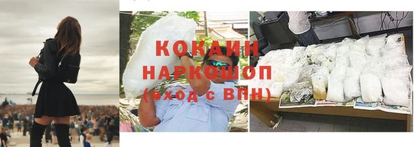 прущие грибы Армянск