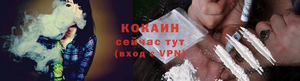 прущие грибы Армянск