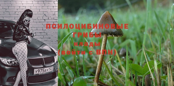 крисы Арсеньев