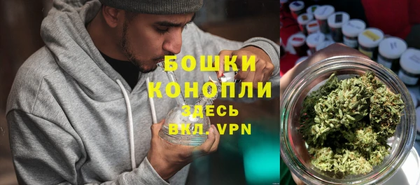 прущие грибы Армянск