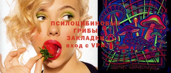 прущие грибы Армянск