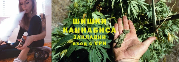 прущие грибы Армянск