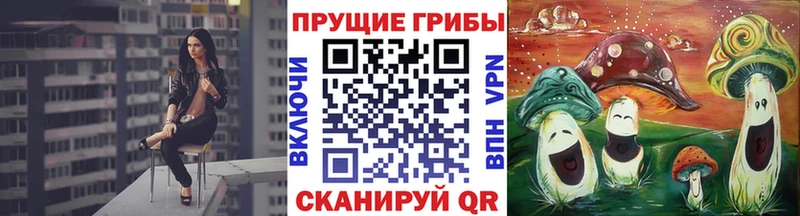 Купить  Судогда  Псилоцибиновые грибы мухоморы 